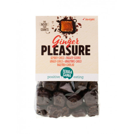 terrasana-de-ginger-plesure-jengibre-y-chocolate-150g