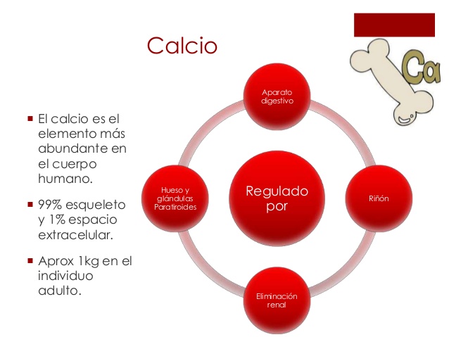fatmacologia-calcio-y-hueso-6-638.jpg