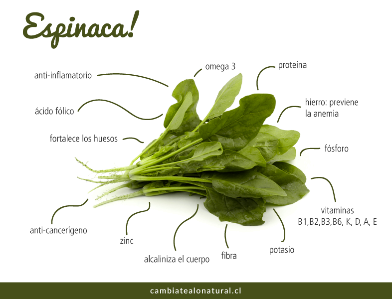 espinaca